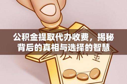 丽江公积金提取代办收费，揭秘背后的真相与选择的智慧