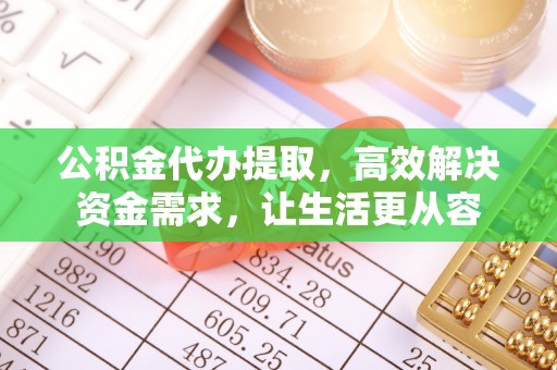 丽江公积金代办提取，高效解决资金需求，让生活更从容