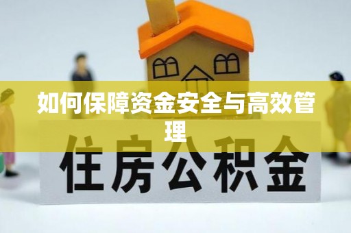 丽江如何保障资金安全与高效管理