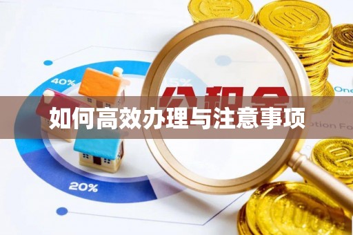 丽江如何高效办理与注意事项