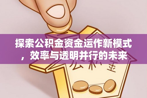 丽江探索公积金资金运作新模式，效率与透明并行的未来