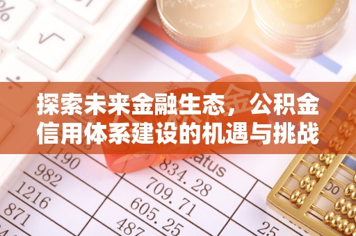 丽江探索未来金融生态，公积金信用体系建设的机遇与挑战