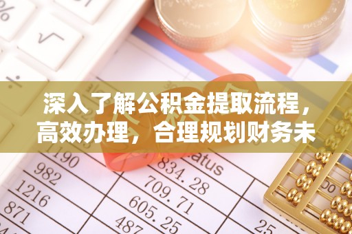 丽江深入了解公积金提取流程，高效办理，合理规划财务未来