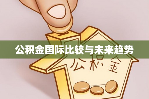 丽江公积金国际比较与未来趋势