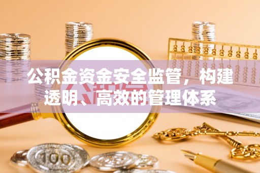 丽江公积金资金安全监管，构建透明、高效的管理体系