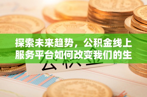 丽江探索未来趋势，公积金线上服务平台如何改变我们的生活