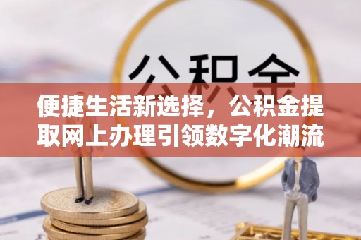 丽江便捷生活新选择，公积金提取网上办理引领数字化潮流