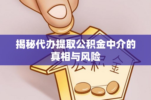 丽江揭秘代办提取公积金中介的真相与风险