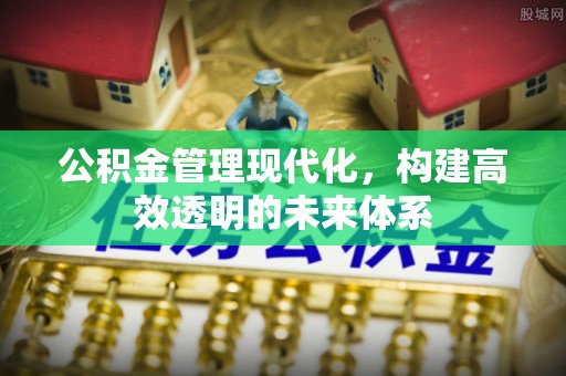 丽江公积金管理现代化，构建高效透明的未来体系
