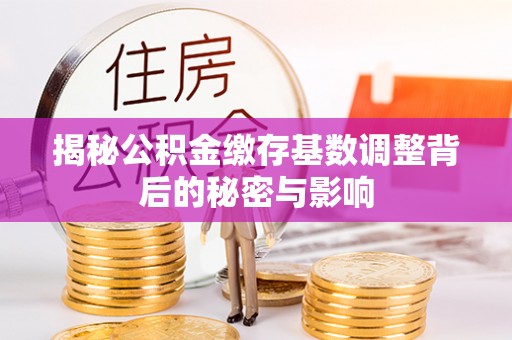 丽江揭秘公积金缴存基数调整背后的秘密与影响