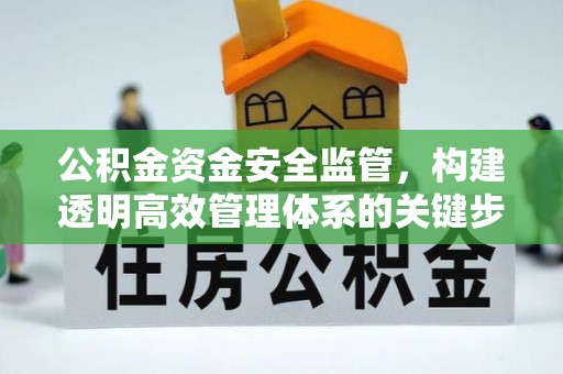 丽江公积金资金安全监管，构建透明高效管理体系的关键步骤