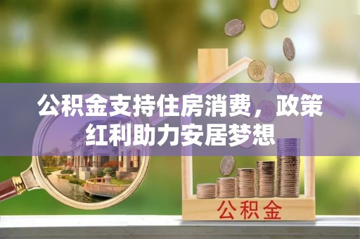 丽江公积金支持住房消费，政策红利助力安居梦想