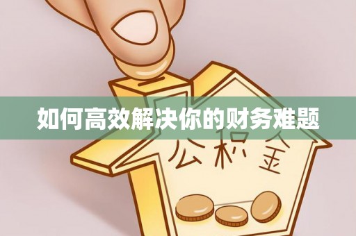 丽江如何高效解决你的财务难题