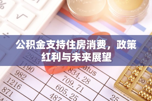 丽江公积金支持住房消费，政策红利与未来展望