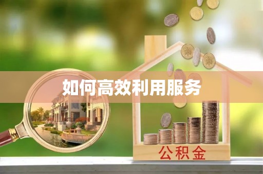 丽江如何高效利用服务