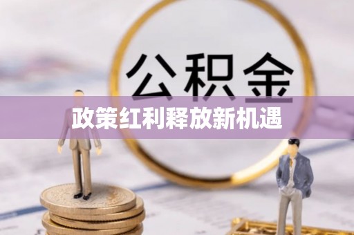 丽江政策红利释放新机遇