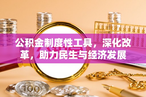 丽江公积金制度性工具，深化改革，助力民生与经济发展