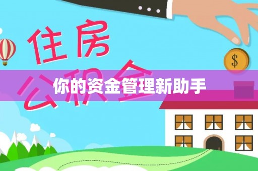 丽江你的资金管理新助手