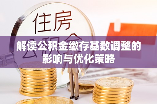 丽江解读公积金缴存基数调整的影响与优化策略