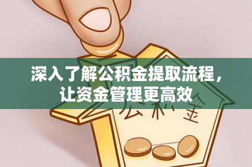 丽江深入了解公积金提取流程，让资金管理更高效