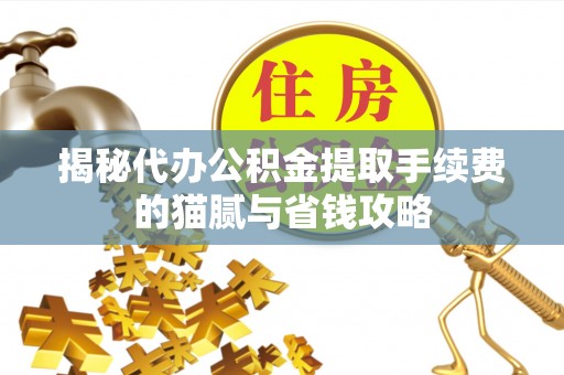 丽江揭秘代办公积金提取手续费的猫腻与省钱攻略
