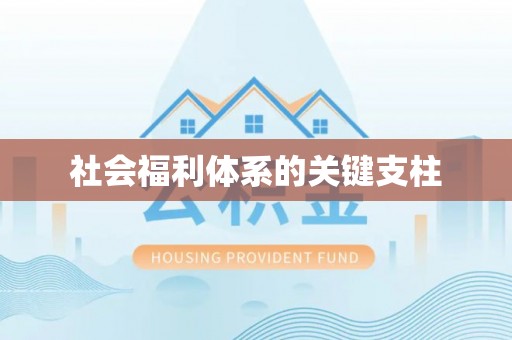 丽江社会福利体系的关键支柱