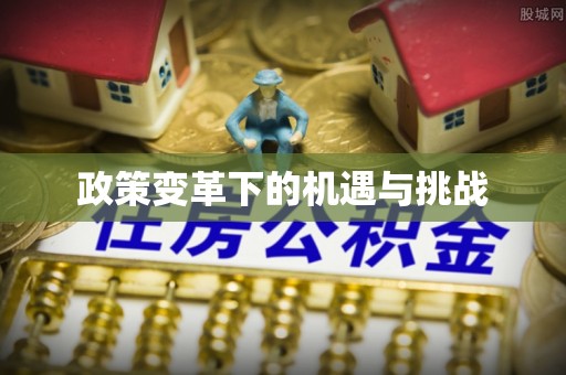 丽江政策变革下的机遇与挑战