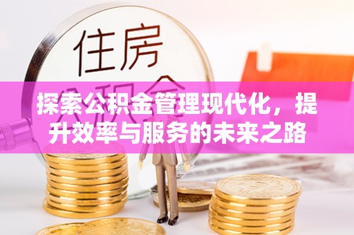丽江探索公积金管理现代化，提升效率与服务的未来之路