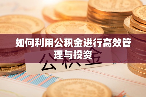 丽江如何利用公积金进行高效管理与投资