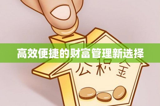 丽江高效便捷的财富管理新选择