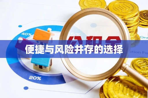 丽江便捷与风险并存的选择