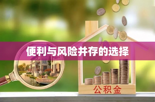 丽江便利与风险并存的选择