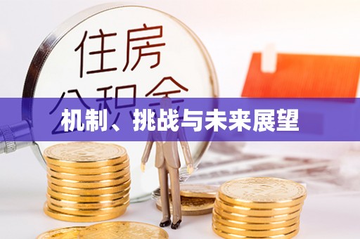 丽江机制、挑战与未来展望