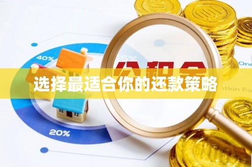 丽江选择最适合你的还款策略