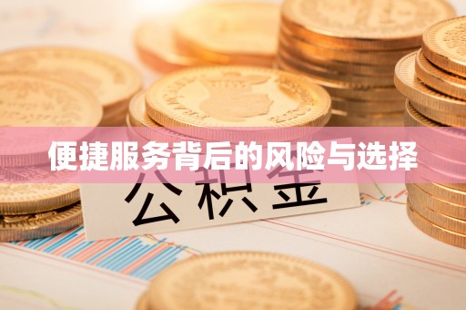 丽江便捷服务背后的风险与选择