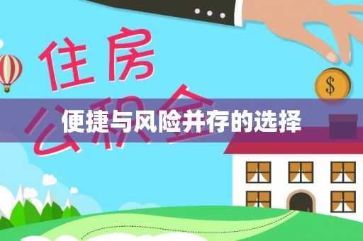 丽江便捷与风险并存的选择