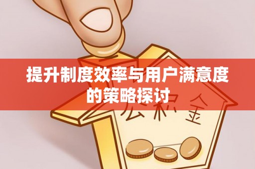 丽江提升制度效率与用户满意度的策略探讨