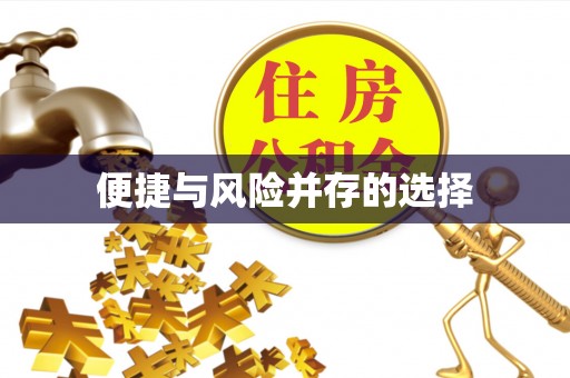 丽江便捷与风险并存的选择