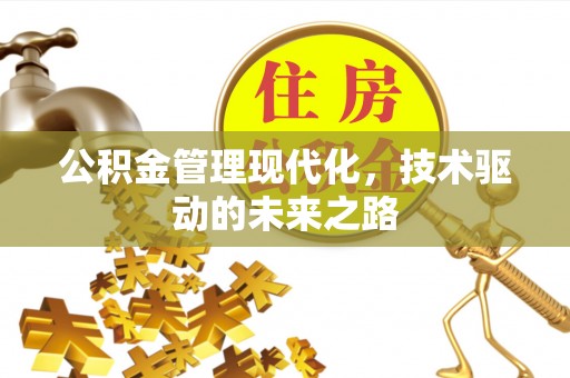 丽江公积金管理现代化，技术驱动的未来之路